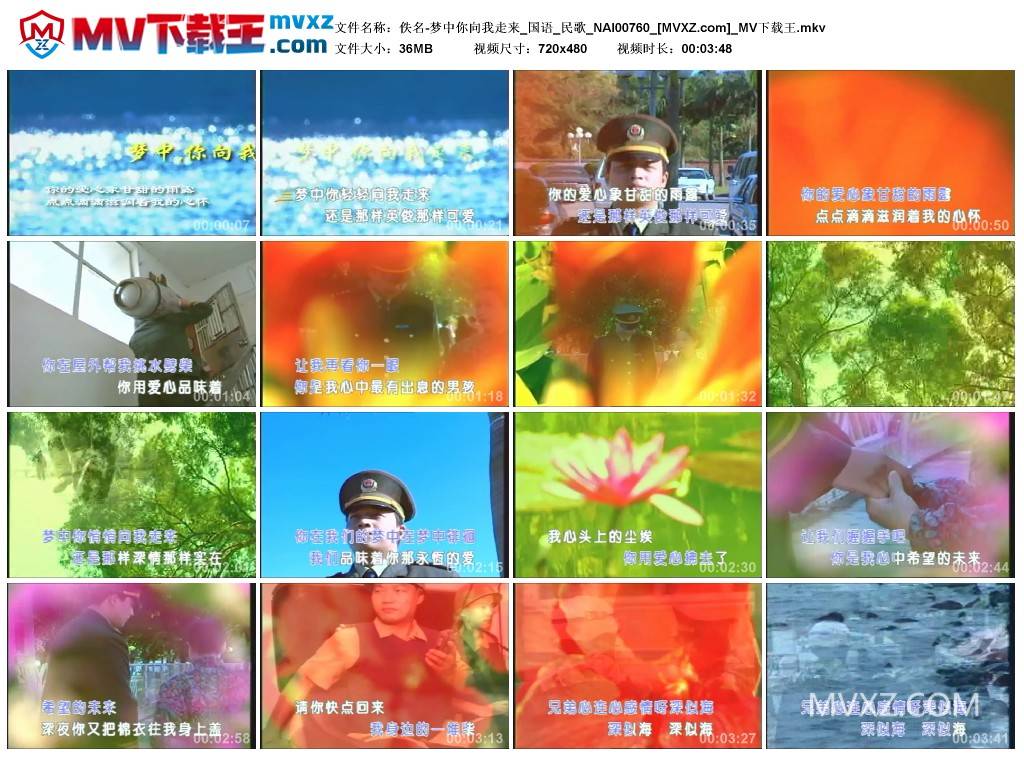 佚名-梦中你向我走来_国语_民歌_NAI00760